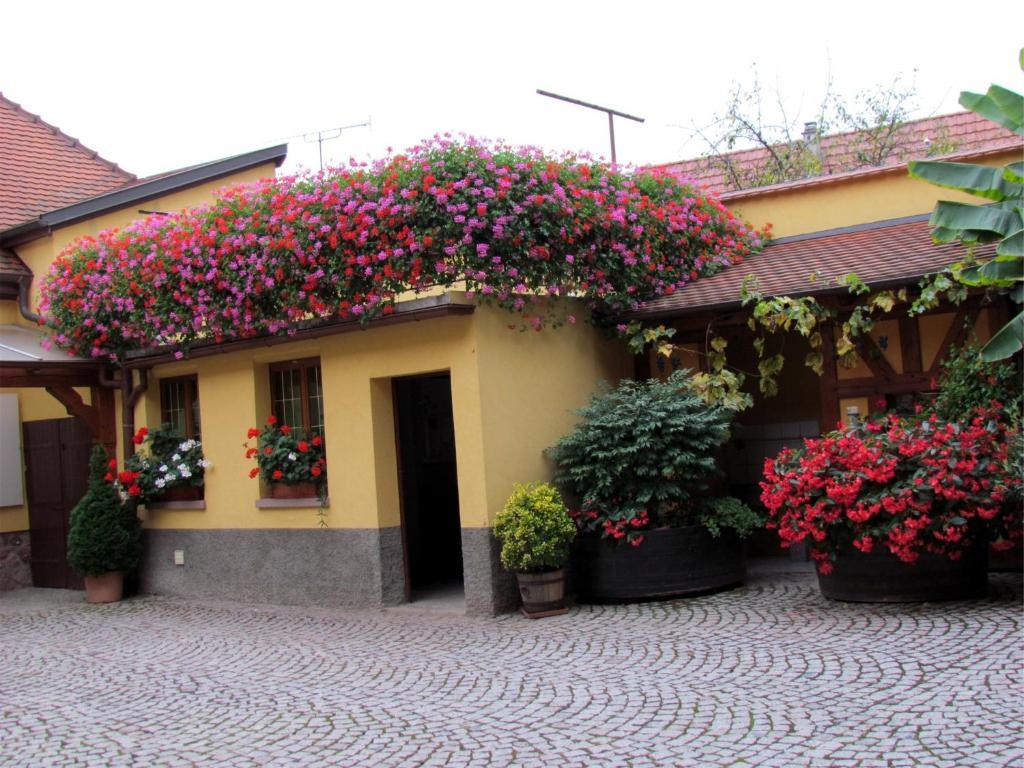 Gite Fruehmess Itterswiller Exterior foto
